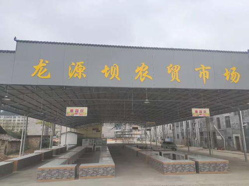 江西赣州市全南县龙源坝镇党建引领示范镇建设见成效