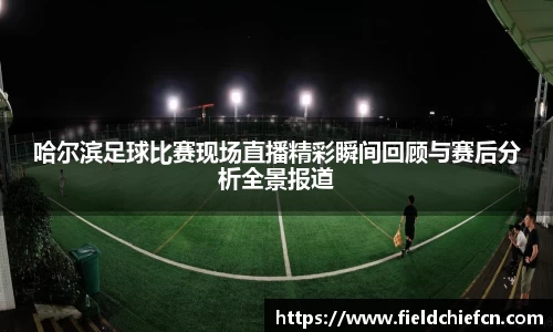 哈尔滨足球比赛现场直播精彩瞬间回顾与赛后分析全景报道