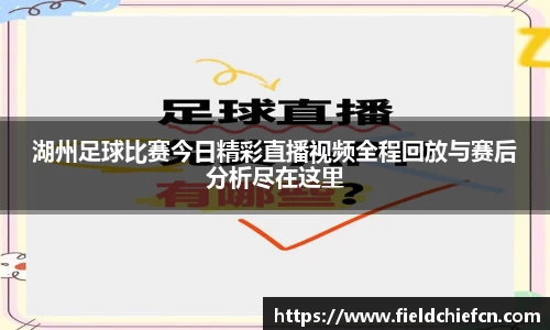湖州足球比赛今日精彩直播视频全程回放与赛后分析尽在这里