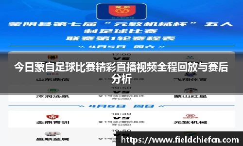 今日蒙自足球比赛精彩直播视频全程回放与赛后分析