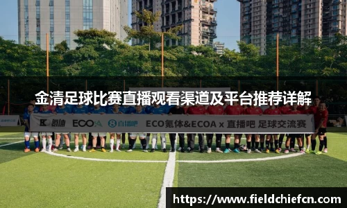 金清足球比赛直播观看渠道及平台推荐详解