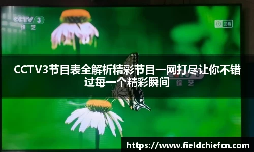 CCTV3节目表全解析精彩节目一网打尽让你不错过每一个精彩瞬间